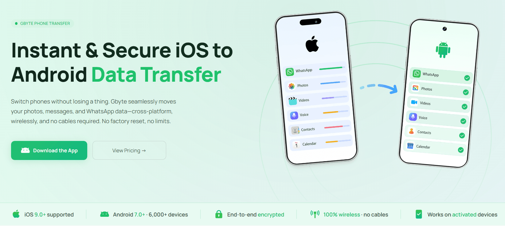 Gbyte Transfer - Product Image