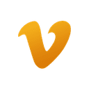 VidVeo3 Logo
