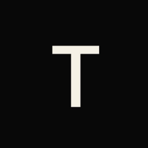 Tin Computer  logo