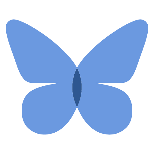 BestskyTools logo