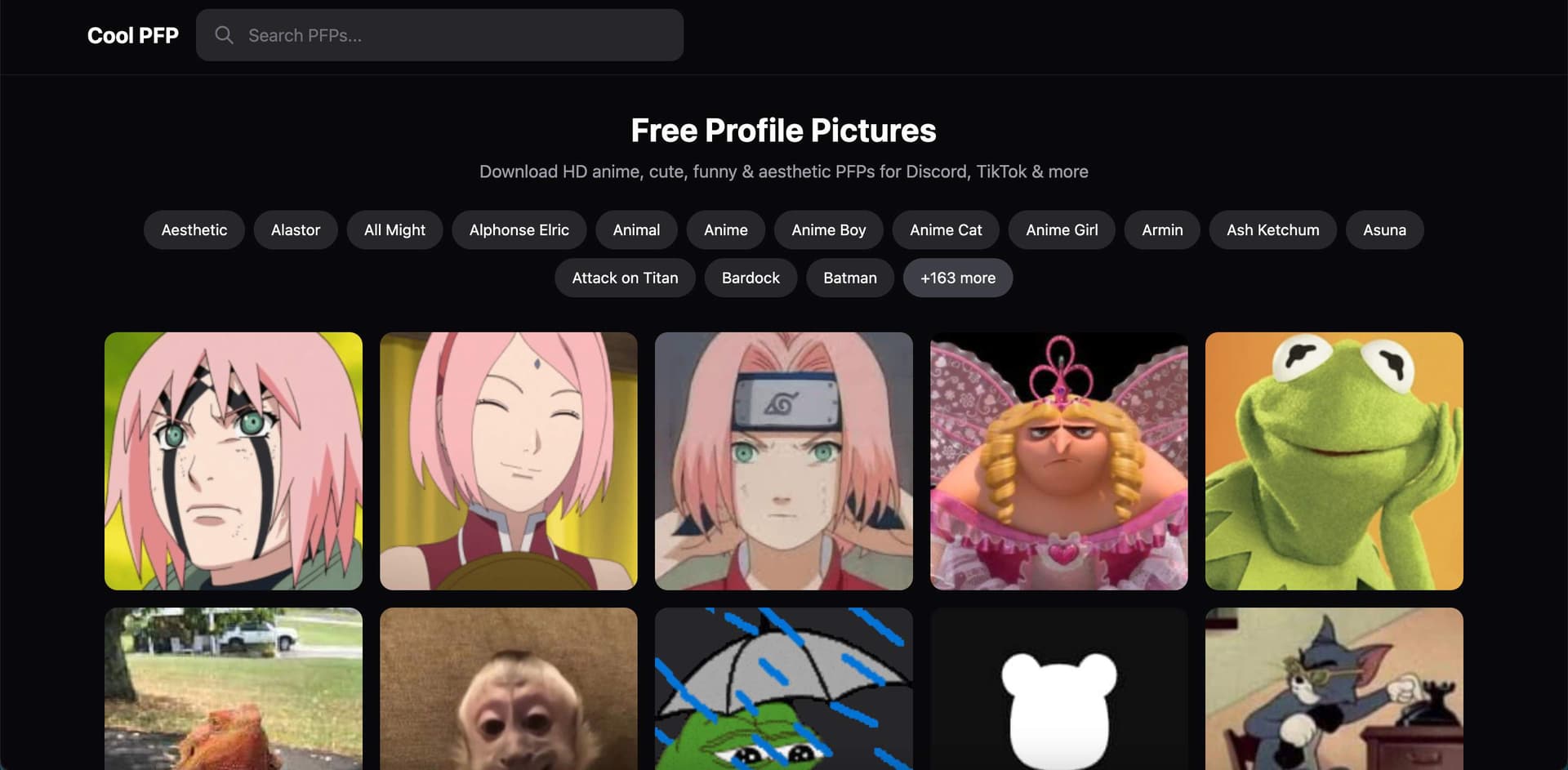 Cool PFP - Product Image