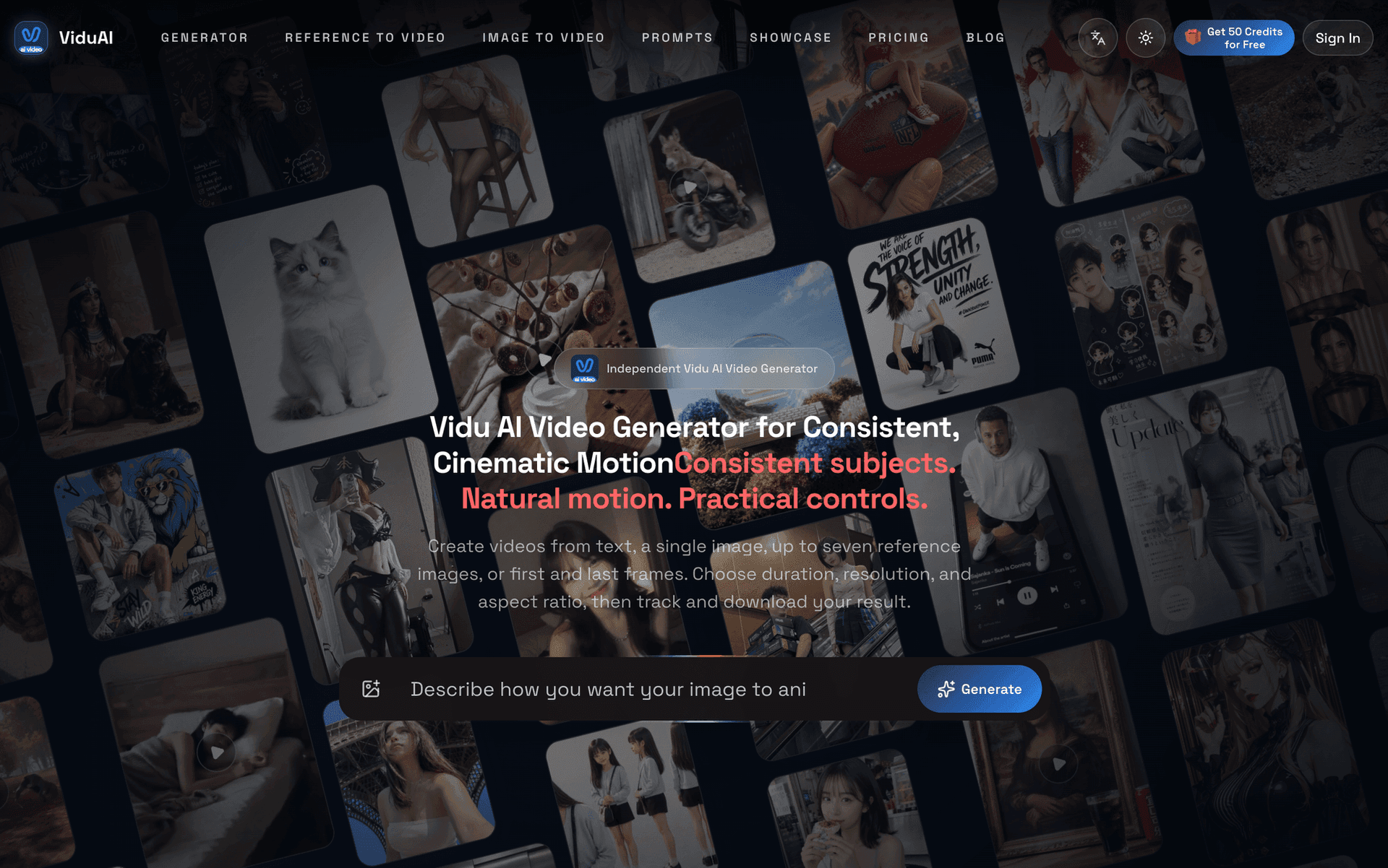 ViduAI - Product Image