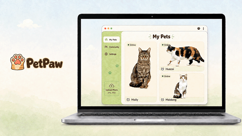 Petpaw - Product Image