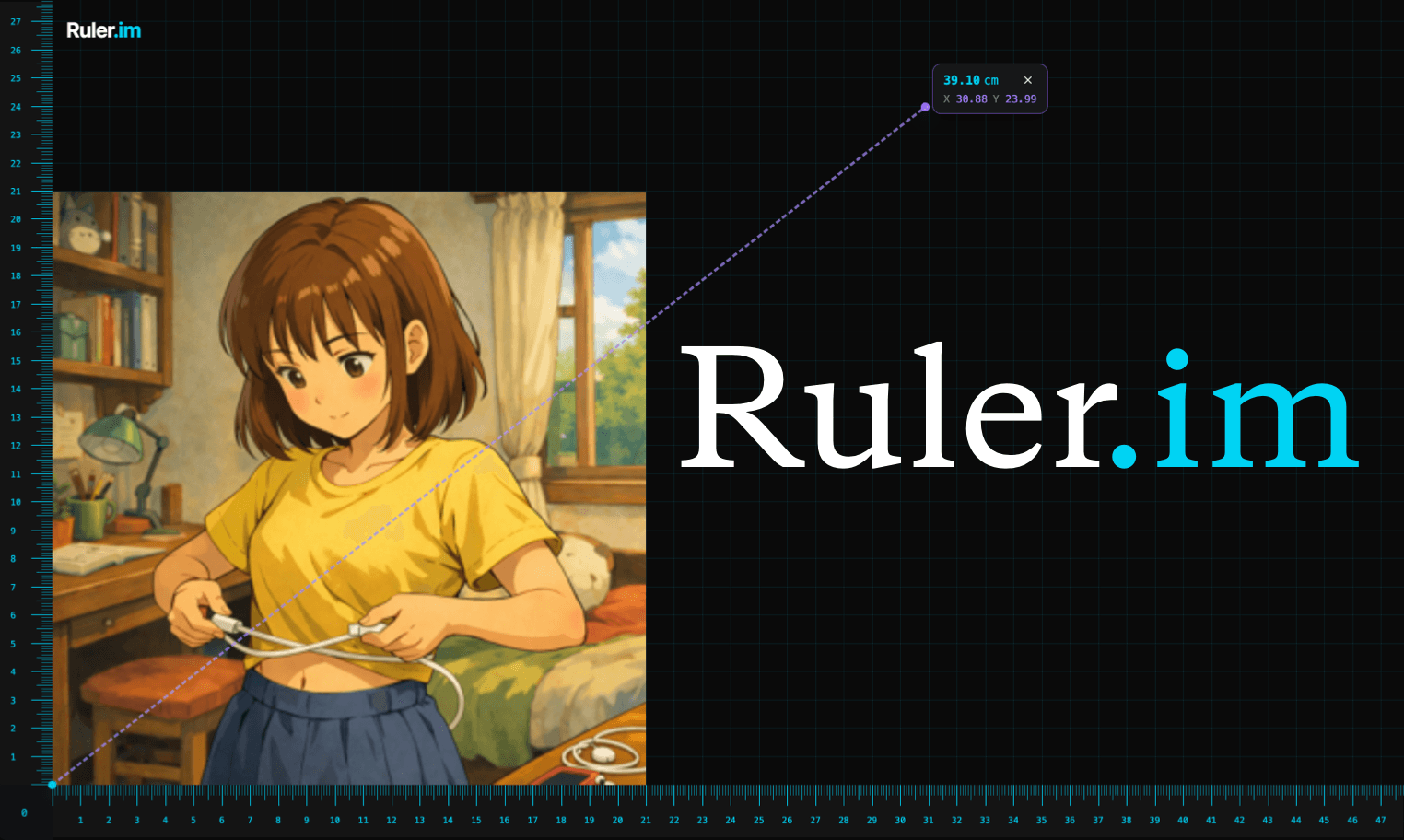 Ruler.im - Product Image